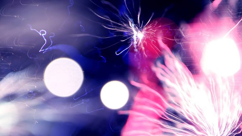 Фейерверки (17 фото)