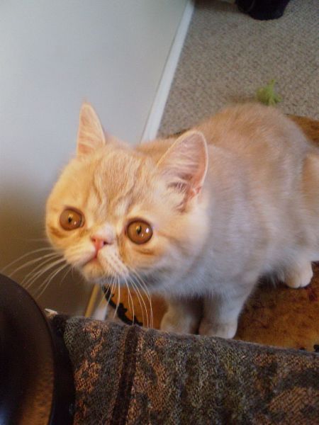 Прикольные картинки (95 фото)