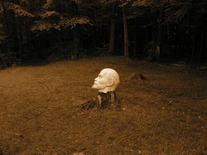 Прикольные картинки (95 фото)