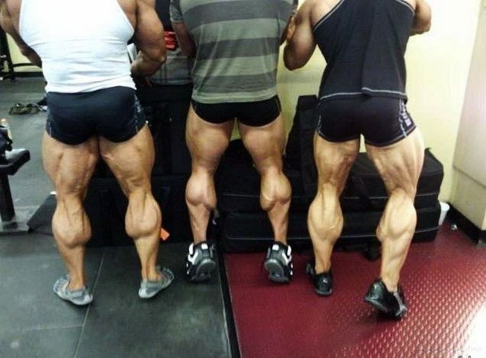 Прикольные картинки (95 фото)