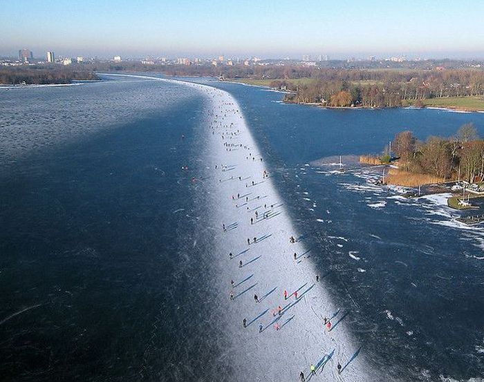 Прикольные картинки (95 фото)