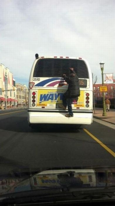 Прикольные картинки (92 фото)