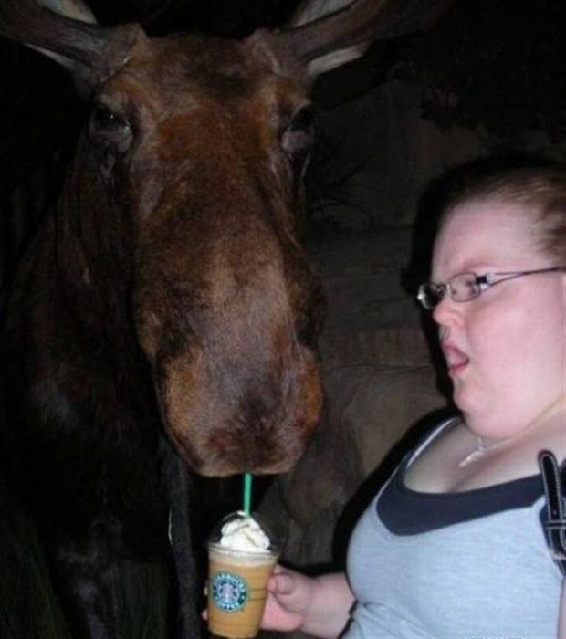 Прикольные картинки (92 фото)