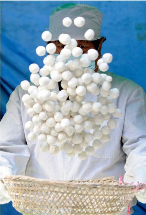 Прикольные картинки (92 фото)