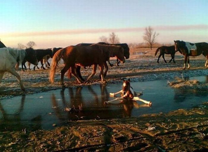 Прикольные картинки (92 фото)