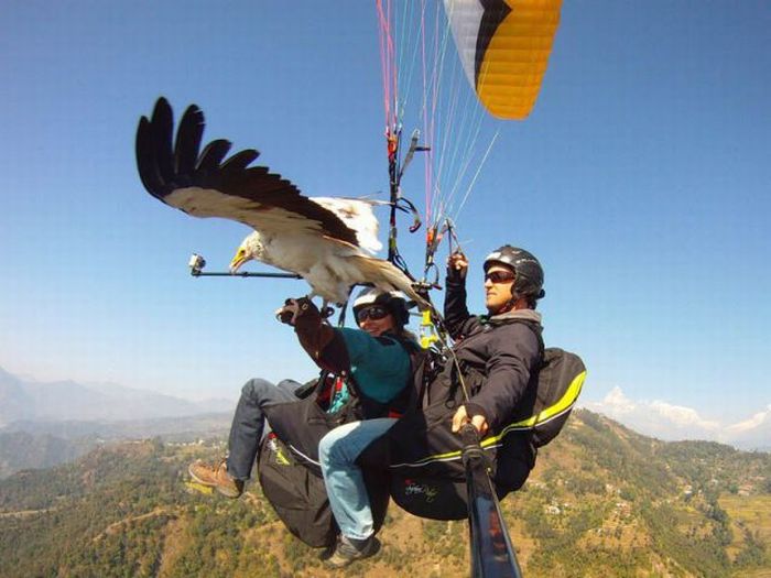 Прикольные картинки (92 фото)