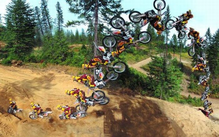 Прикольные картинки (92 фото)