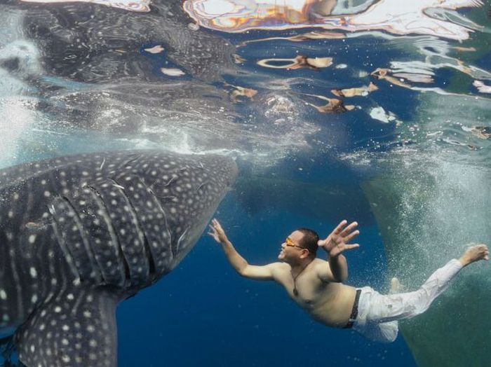 Прикольные картинки (92 фото)