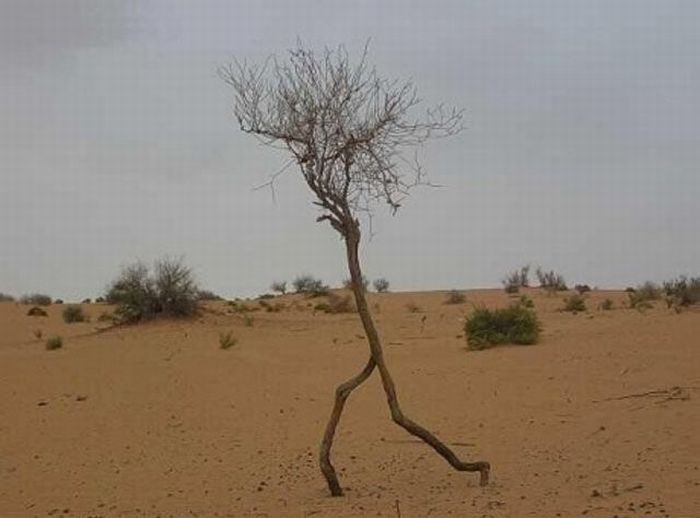 Прикольные картинки (92 фото)