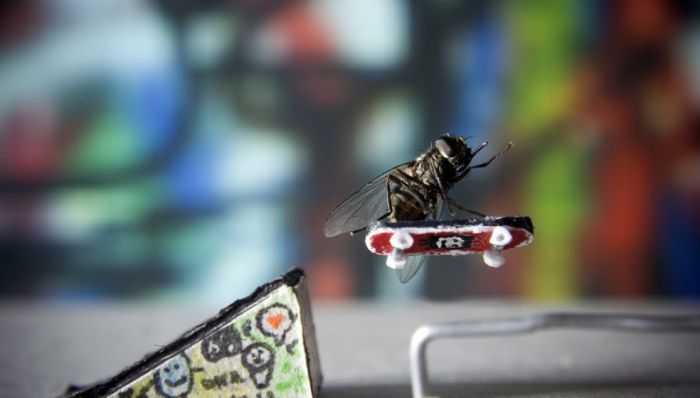 Прикольные картинки (92 фото)