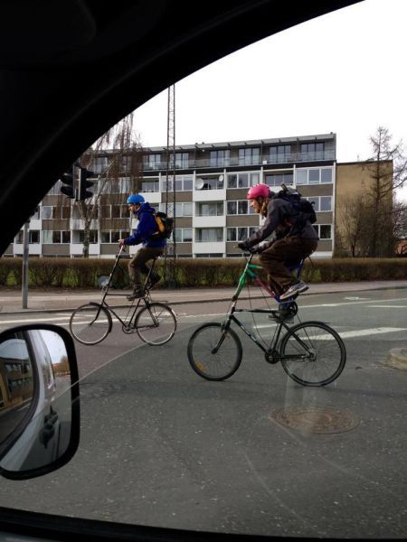 Прикольные картинки (105 фото)