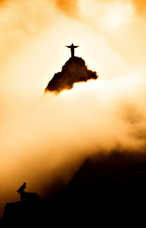 Прикольные картинки (82 фото)