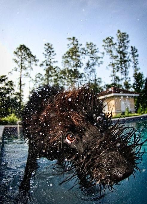 Прикольные картинки (140 фото)