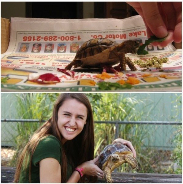 Прикольные картинки (140 фото)