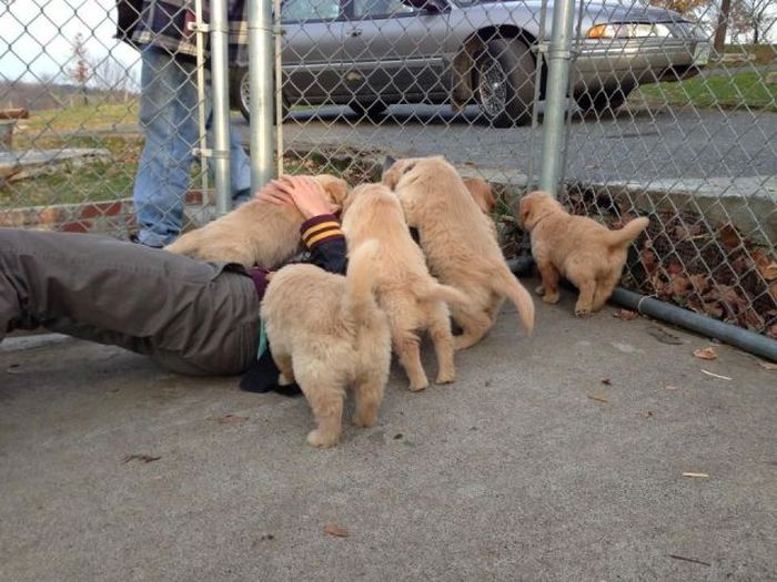 Прикольные картинки (140 фото)