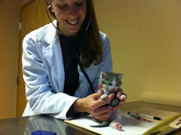 Прикольные картинки (140 фото)