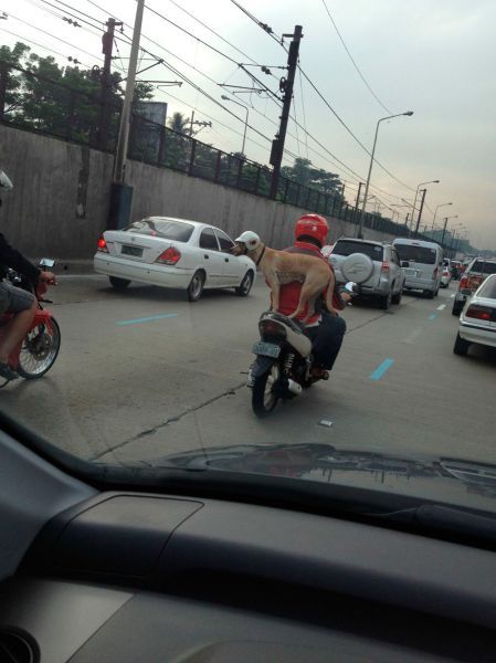 Прикольные картинки (140 фото)