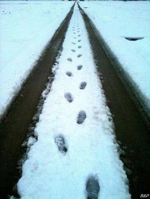 Прикольные картинки (140 фото)