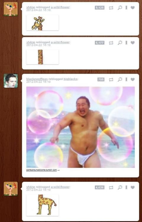 Прикольные картинки (140 фото)