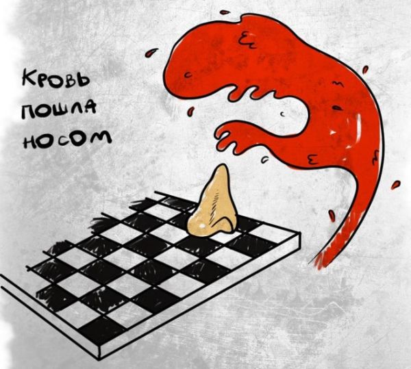 Прикольные картинки (92 фото)