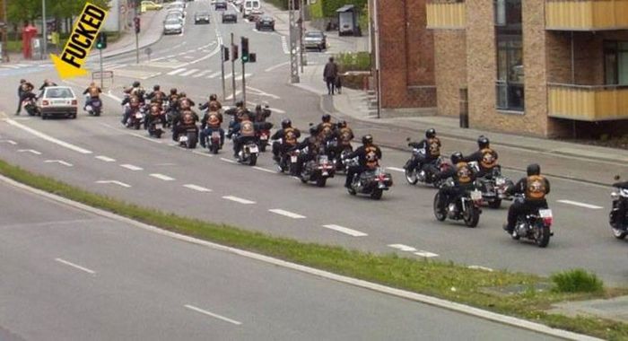 Прикольные картинки (92 фото)