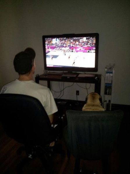 Прикольные картинки (92 фото)