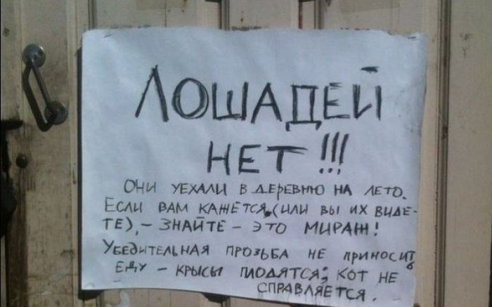 Прикольные картинки (92 фото)