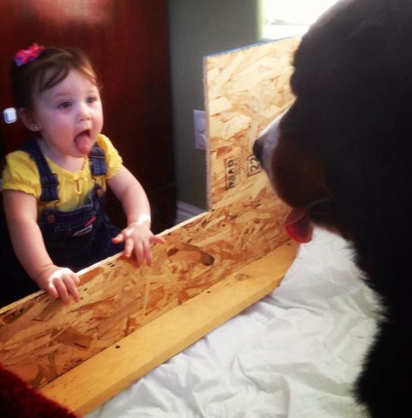 Прикольные картинки. Часть 2 (100 фото)