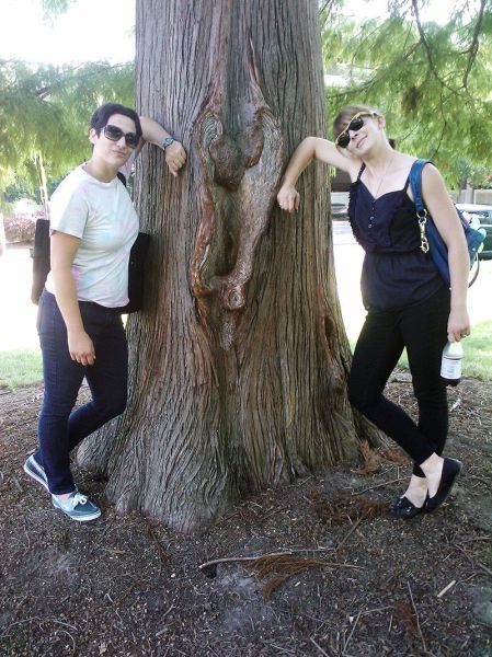 Прикольные картинки. Часть 2 (100 фото)