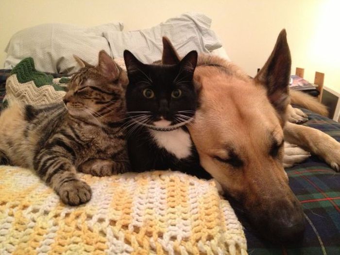 Прикольные картинки. Часть 2 (100 фото)