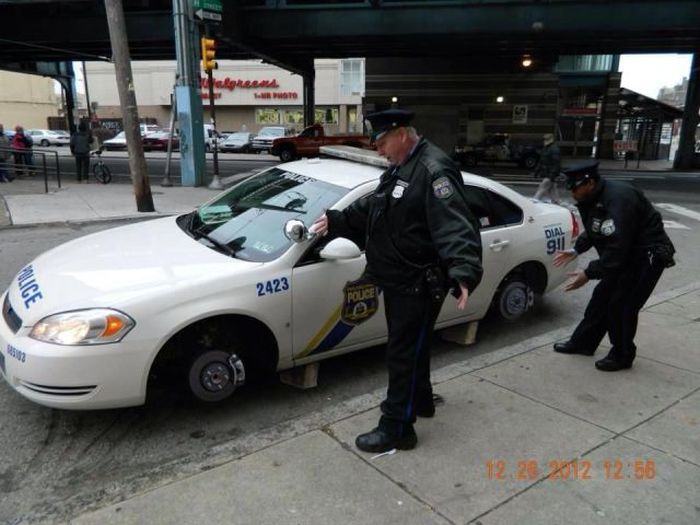 Прикольные картинки. Часть 2 (100 фото)