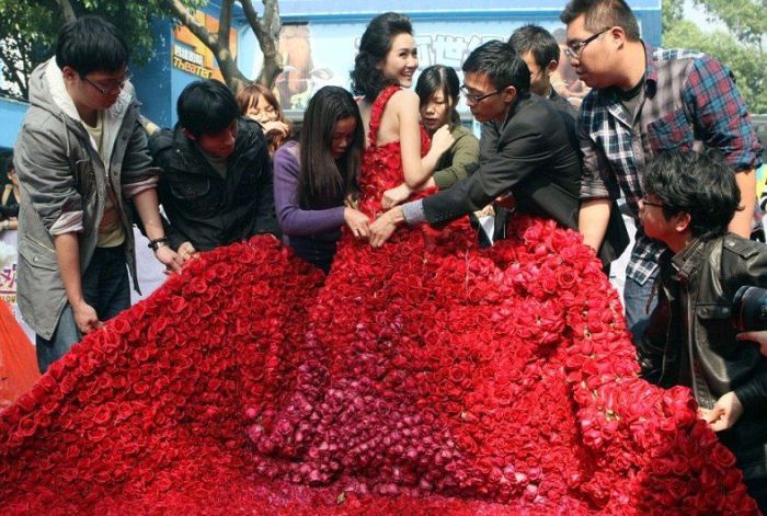 Прикольные картинки (103 фото)