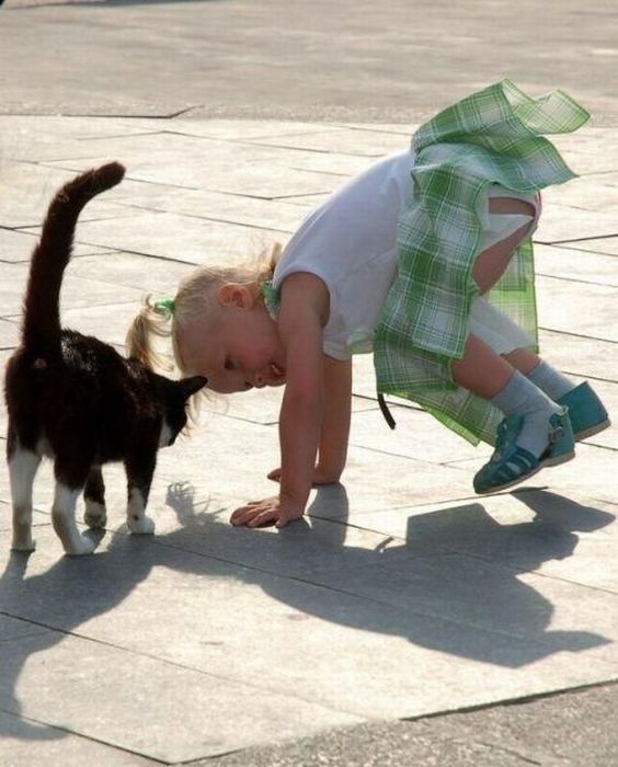 Прикольные картинки (103 фото)