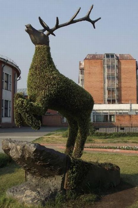 Прикольные картинки (103 фото)