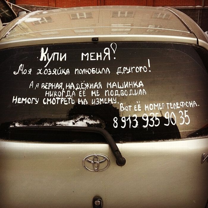 Прикольные картинки (103 фото)