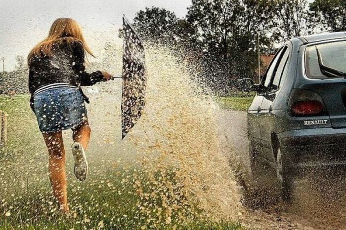 Прикольные картинки (95 фото)