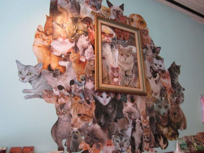 Прикольные картинки (95 фото)