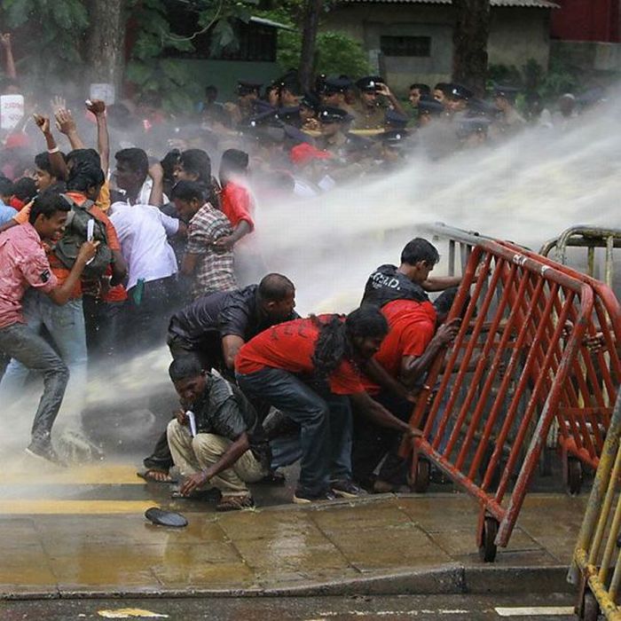 Прикольные картинки (95 фото)