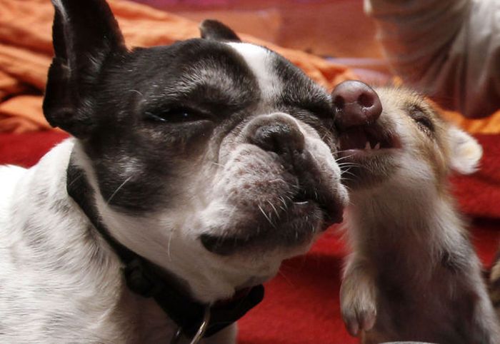 Прикольные картинки (95 фото)