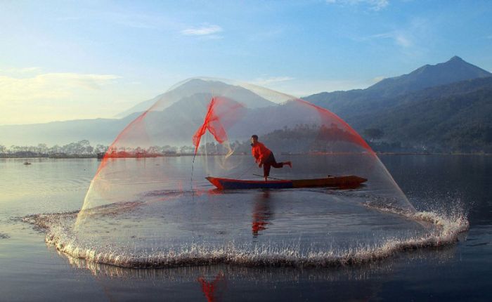 Прикольные картинки (80 фото)