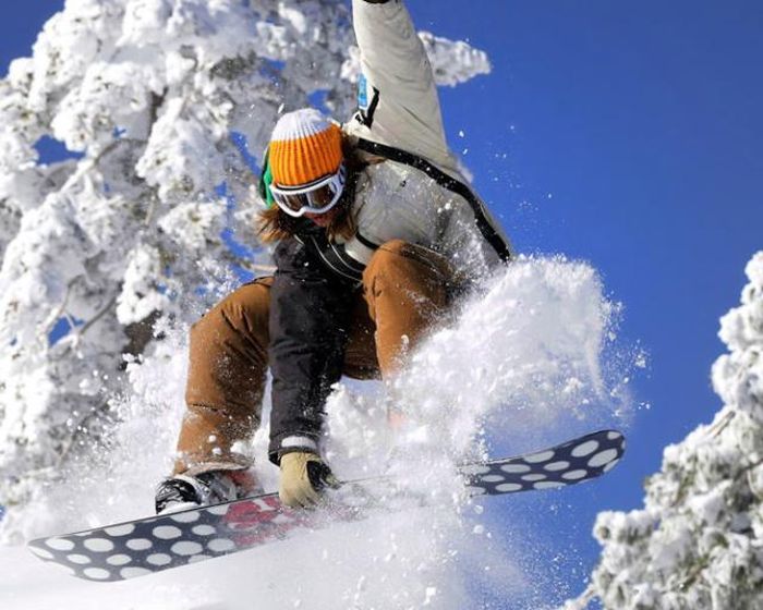 Прикольные картинки (80 фото)