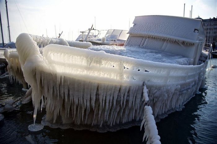 Прикольные картинки (80 фото)