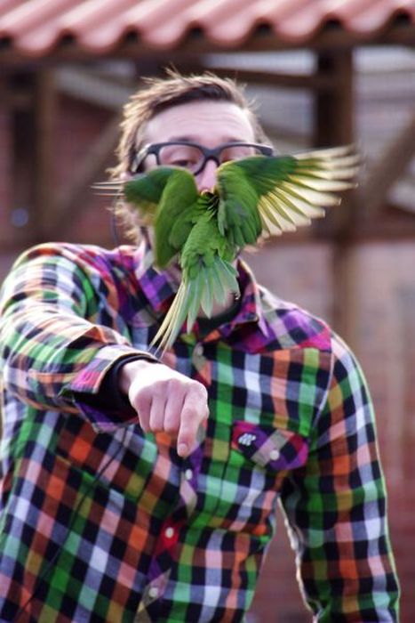 Прикольные картинки (80 фото)