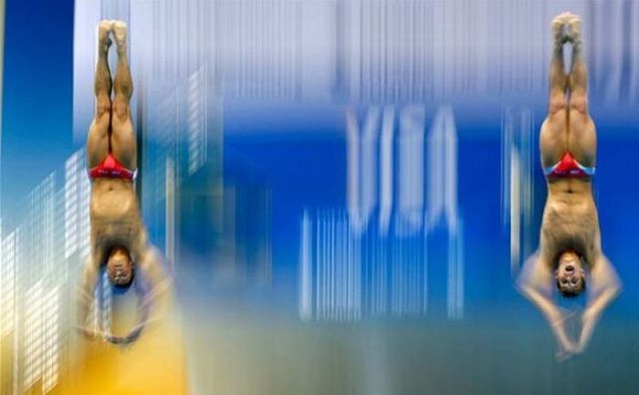 Прикольные картинки (80 фото)