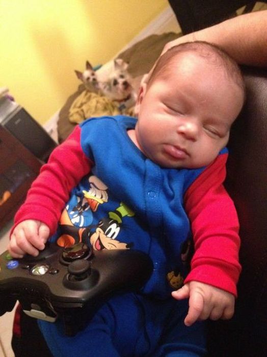 Прикольные картинки (80 фото)