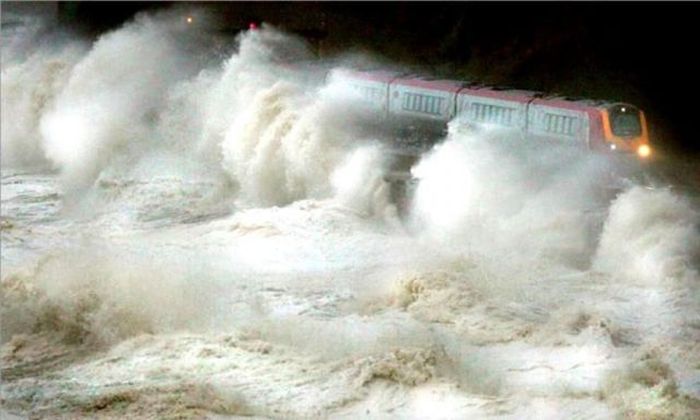 Прикольные картинки (80 фото)