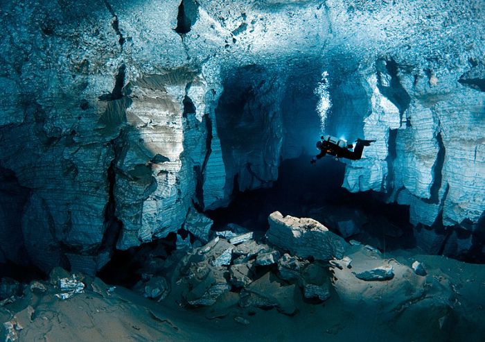 Прикольные картинки (80 фото)