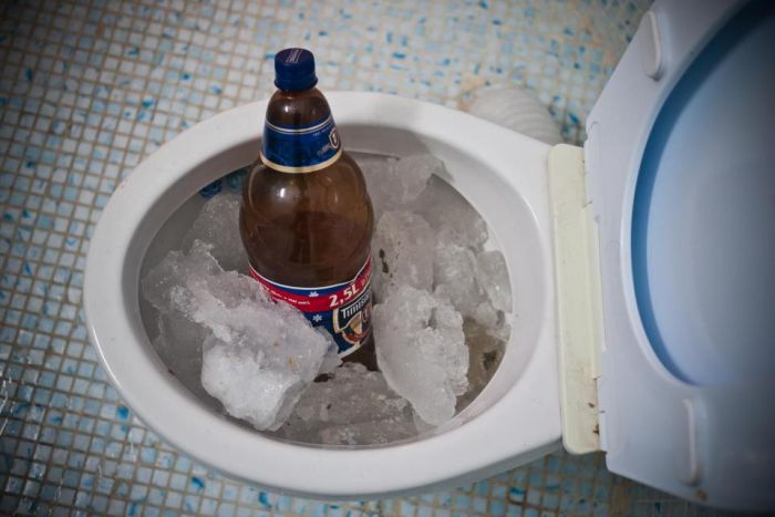 Прикольные картинки (80 фото)