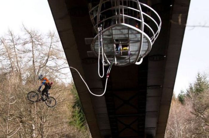 Прикольные картинки (95 фото)