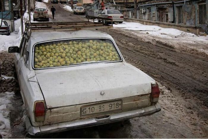 Прикольные картинки (95 фото)